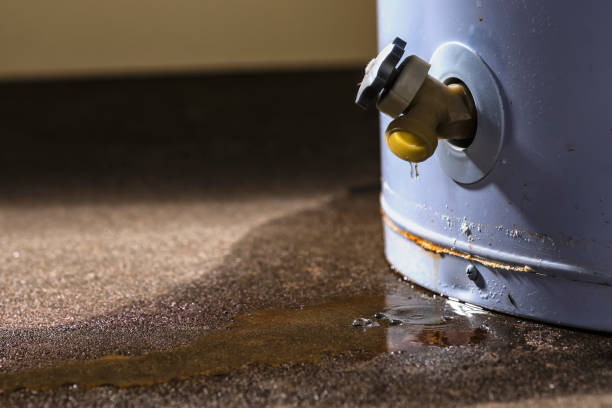 Best Flood restoration services  in Watkins Glen, NY