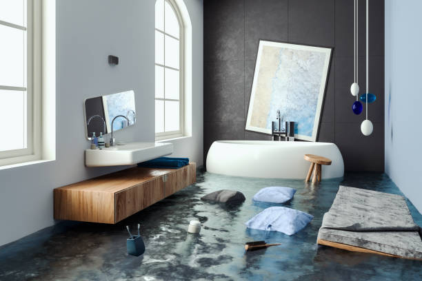 Best Mold removal after water damage  in Watkins Glen, NY