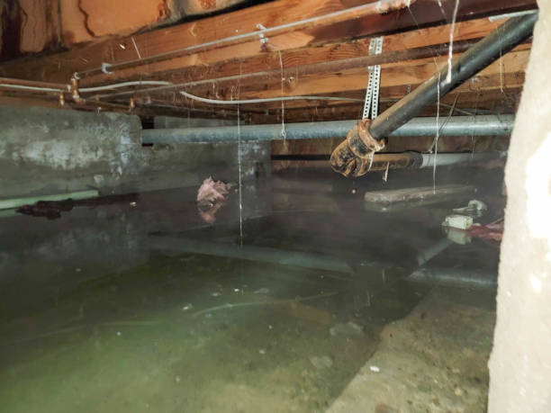 Best Fire Damage Restoration  in Watkins Glen, NY