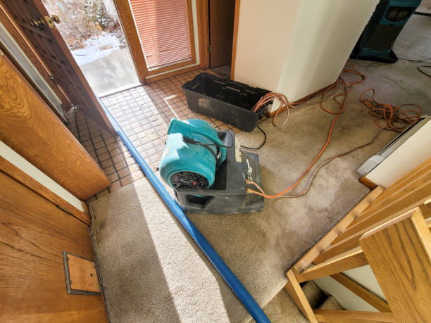 Best 24/7 water damage repair  in Watkins Glen, NY