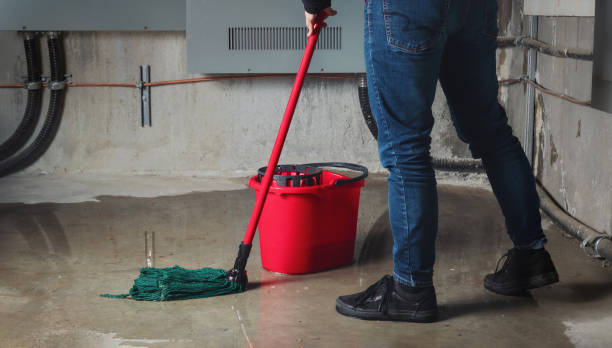  Watkins Glen, NY Water damage restoration Pros