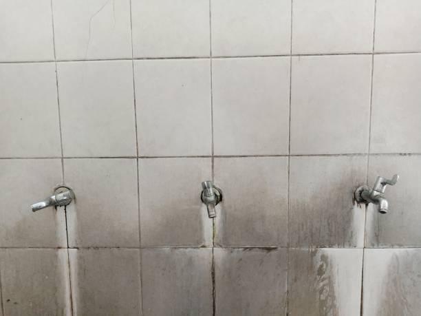 Best Ceiling water damage repair  in Watkins Glen, NY